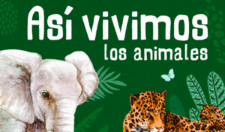 ASI VIVIMOS LOS ANIMALES (ANIMALIA), LEON PANAL, ANGEL LUIS