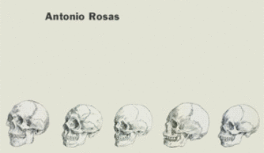 ORIGEN Y EVOLUCIÓN DE ‘HOMO SAPIENS’, ROSAS, ANTONIO